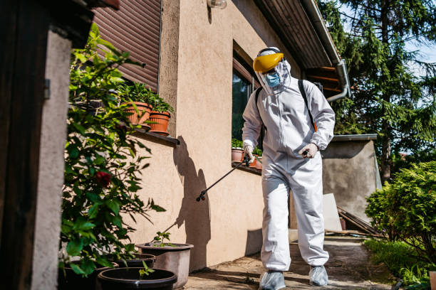 Best Commercial Pest Control Services  in Amargosa Valley, NV
