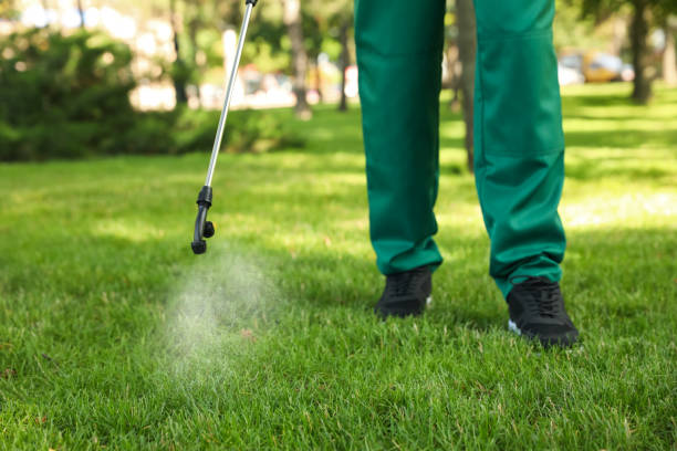 Best Commercial Pest Control Services  in Amargosa Valley, NV