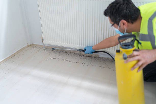 Best Cockroach Control Services  in Amargosa Valley, NV